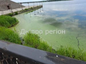 Річка Дніпро біля Фестивального причалу перетворилася на зелене болото