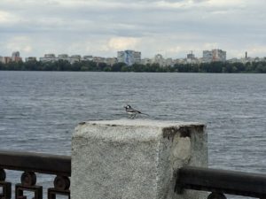 Прогноз погоди в Дніпрі: що чекати 27 червня?