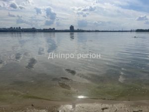 Відхилення у воді Дніпропетровщини: загроза відпочинку