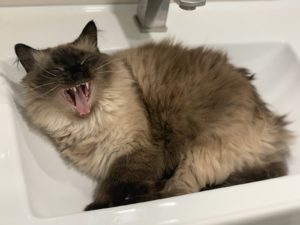 Відключення води в Дніпропетровщині: коли і де не буде води