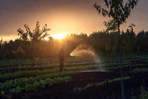 Водопостачання в Дніпропетровщині: нічні графіки через полив городів