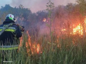 Масований удар по Дніпропетровщині: горять поля, є постраждалі